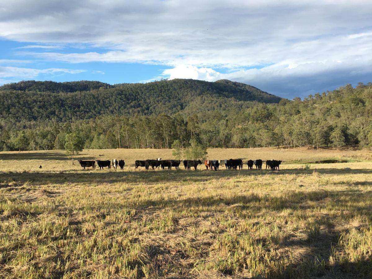 Апартаменты Rural Ambience With Netflix Mount George Экстерьер фото