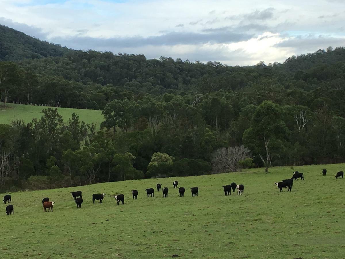 Апартаменты Rural Ambience With Netflix Mount George Экстерьер фото